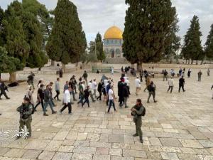 مئات المستوطنين يقتحمون الأقصى وتشديدات على أبوابه