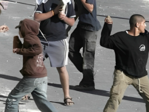 مستوطنون يُهاجمون مركبات المواطنين في البيرة