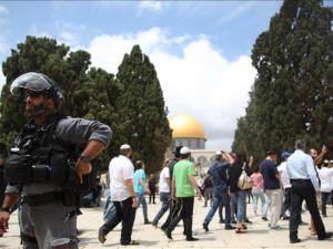 عشرات المستوطنين يقتحمون الأقصى