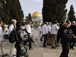 عشرات المستوطنين يقتحمون الأقصى