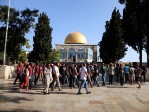 عشرات المستوطنين يقتحمون الأقصى