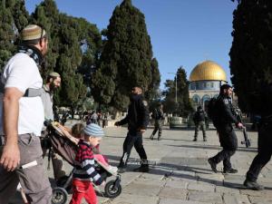 أكثر من 100 مستوطن يقتحمون الأقصى بحماية قوات الاحتلال