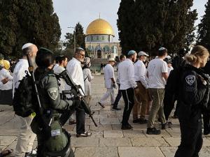 مستوطنون يقتحمون الأقصى بـ"نزول التوراة"