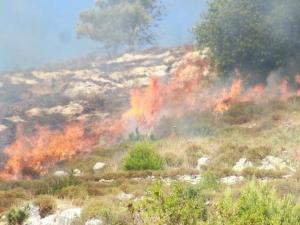 مستوطنون يشعلون النيران بأراضٍ زراعية شمال شرق الخليل