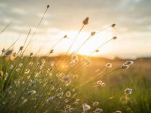 طقس فلسطين.. ارتفاع طفيف على درجات الحرارة