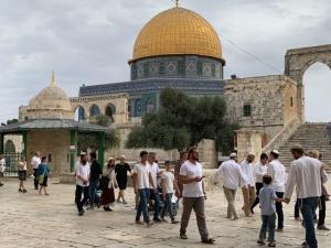 الاحتلال سيبدأ بتمويل اقتحامات منظمة للمسجد الأقصى! إعلام إسرائيلي: خطوة لتعزيز الرواية اليهودية