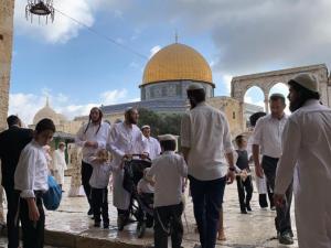 جماعات "الهيكل" تُعلن عن اقتحام "مركزي" للأقصى بعيد "الغفران" الأحد والإثنين