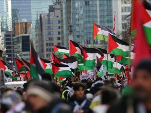 لمرور 600 يوم.. حماس تدعو إلى حراك عالمي لوقف إبادة غزة
