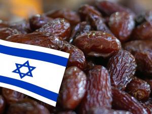 إسرائيل “تصارع” لبيع تمورها في أوروبا مع اقتراب رمضان.. هذه خطة الاحتلال لـ”خداع” حملات المقاطعة