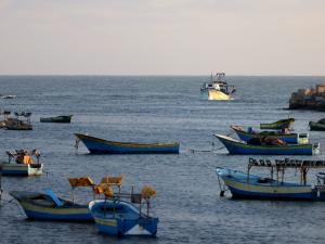 القناة 14: حماس شريكة في بناء الميناء المؤقت بغزة