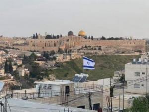 مستوطنون يستولون على 5 دونمات في واد حلوة بسلوان (شاهد)