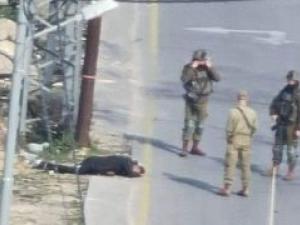 الاحتلال يطلق النار على شاب عند المدخل الشمالي للبيرة