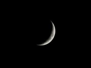 عيد الفطر