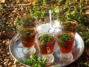 صورة وفاء عاروري