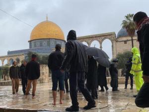 عشرات المستوطنين يقتحمون الأقصى