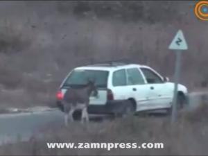 صورة توضيحية