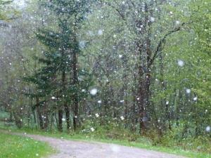 حالة الطقس: شديد البرودة وأمطار متفرقة