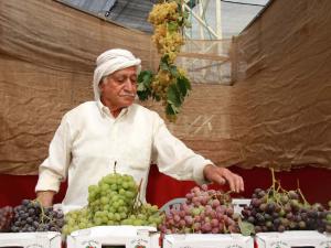 انطلاق مهرجان العنب الفلسطيني بالخليل