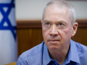 يوآف غالانت