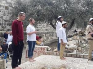 مستوطنون يقتحمون مقامات إسلامية شمال سلفيت