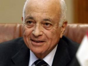 نبيل العربي