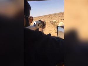 قتل