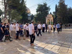 عشرات المستوطنين يقتحمون الأقصى