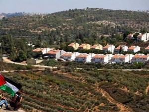 صحيفة عبرية تكشف تفاصيل خطة نتنياهو المقبلة "شبيبة التلال" لشرعنة الاستيطان