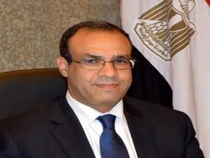 السفير بدر عبد العاطي