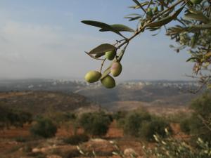أجواء خريفية صافية