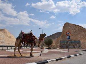 حرارة منخفضة اليوم ترتفع غدًا