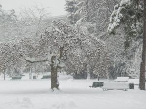 بلدية رام الله