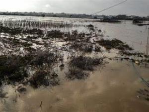 الاحتلال يغرق أراضي المواطنين بخانيونس ودير البلح