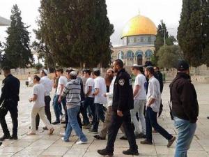 عشرات المستوطنين يقتحمون الأقصى 