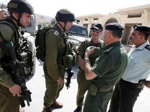 المجلس المركزي