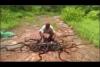 Embedded thumbnail for : حارس حديقة يطلق مئات الأفاعي في البرية في الهند