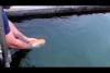 Embedded thumbnail for صداقة بين انسان وسمكة 