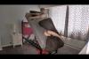 Embedded thumbnail for بريطاني يبتكر سريراً يقذف صاحبه عند الاستيقاظ