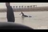 Embedded thumbnail for لحظة غرق رجل داخل سيارته بسبب السيول في السعودية