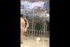 Embedded thumbnail for  معتمر يكسر زجاج المسعى ويدخل جبل الصفا