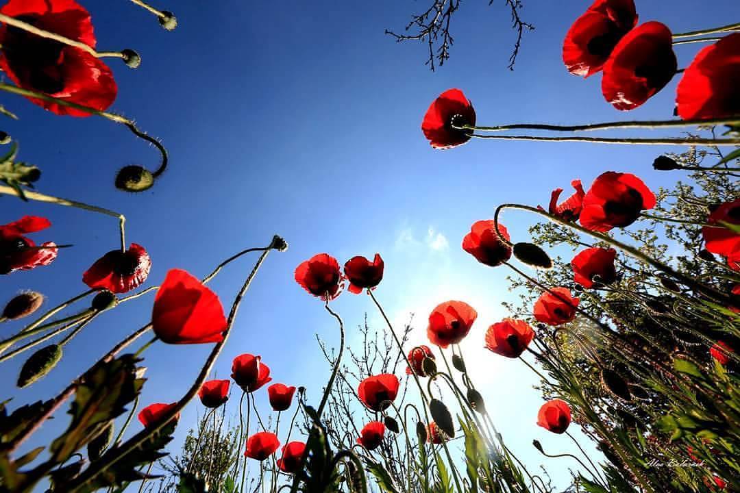 حالة الطقس: أجواء صيفية حارة