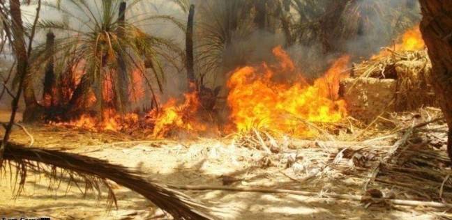 حريق كبير في مزرعة رئيس الوزراء السابق "شارون"