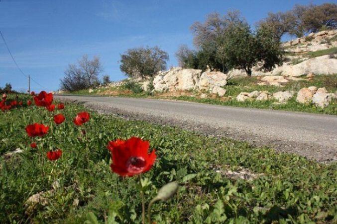حالة الطقس: درجات الحرارة حول معدلها السنوي