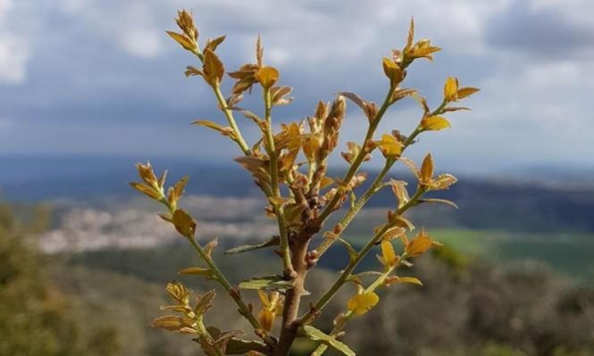 حالة الطقس: أجواء غائمة وارتفاع في درجات حرارة