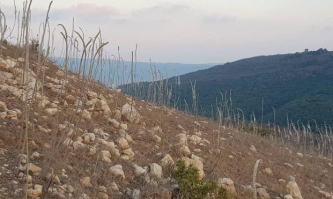 حالة الطقس: درجات الحرارة ضمن المعدل السنوي للموسم