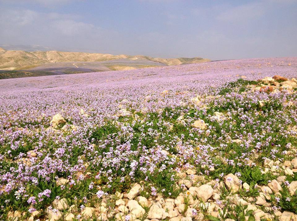 ارتفاع على درجات الحرارة