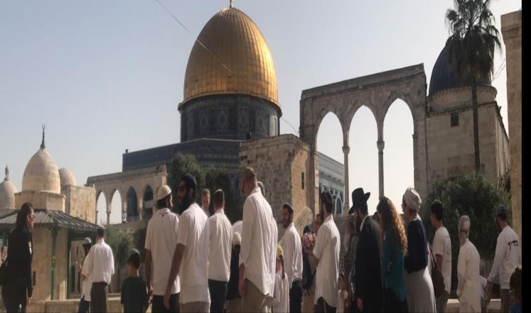فيديو- مستوطنون يقتحمون المسجد الأقصى