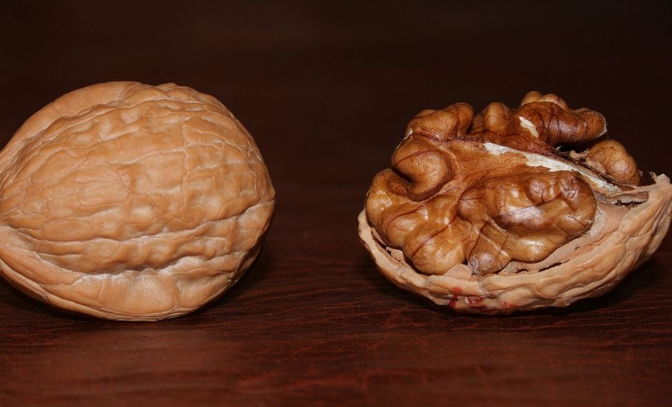 3 ملاعق من الجوز يوميًا تُحارب مرضًا مزعجًا