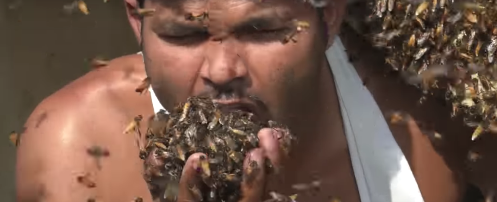 فيديو يشعل مواقع التواصل... رجل يلتهم آلاف النحلات حيّة!