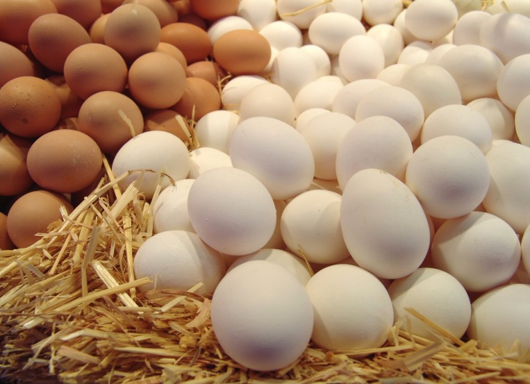 6 بيضات أسبوعيا "تجنب الموت المبكر"